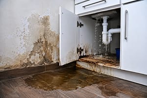 Active water leak under sink causing cabinet and floor damage with visible moisture on wall