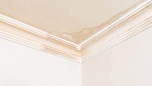 Brown water stain on ceiling corner caused by hidden plumbing leak